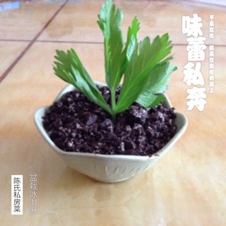 盆栽冰淇淋