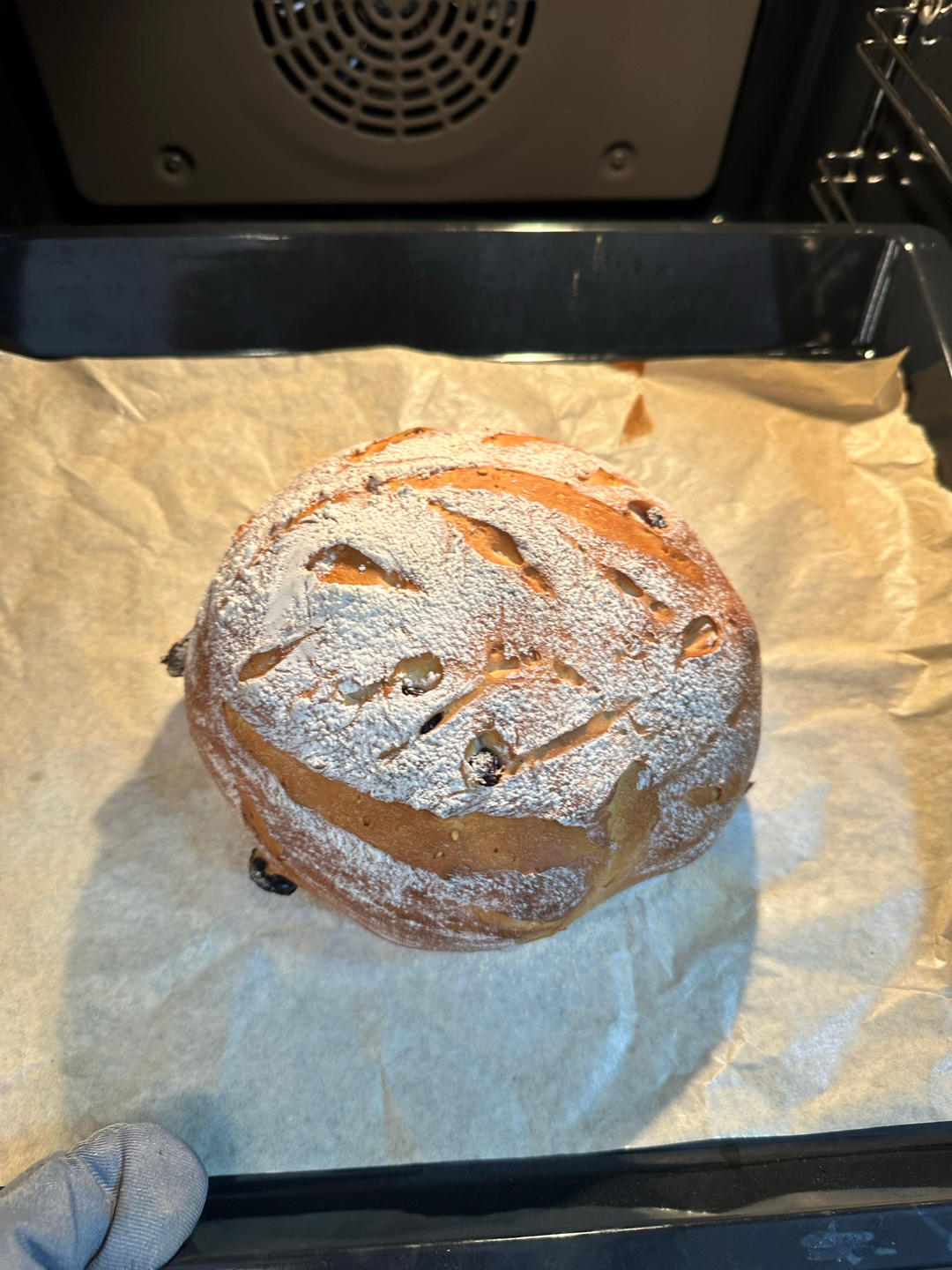 全麦蔓越莓核桃软欧包