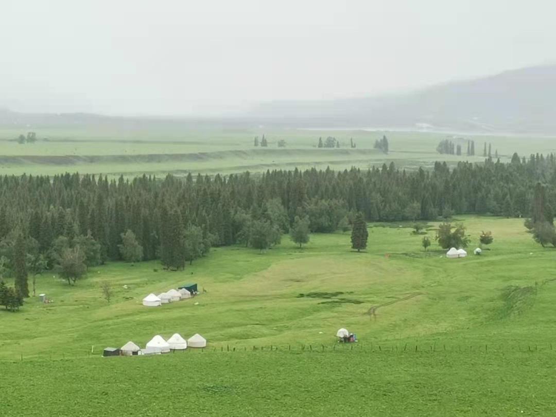 入口即化，气孔均匀酥松的手指饼干(用于提拉米苏)