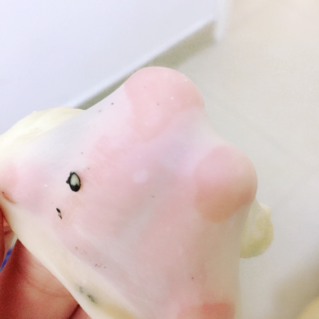 超轻松快速揉面法（后酵母静置法）