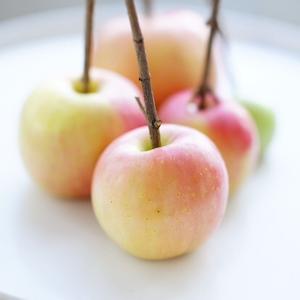 完美焦糖苹果-perfect caramel apples-苹果的一百种吃法的做法 步骤2