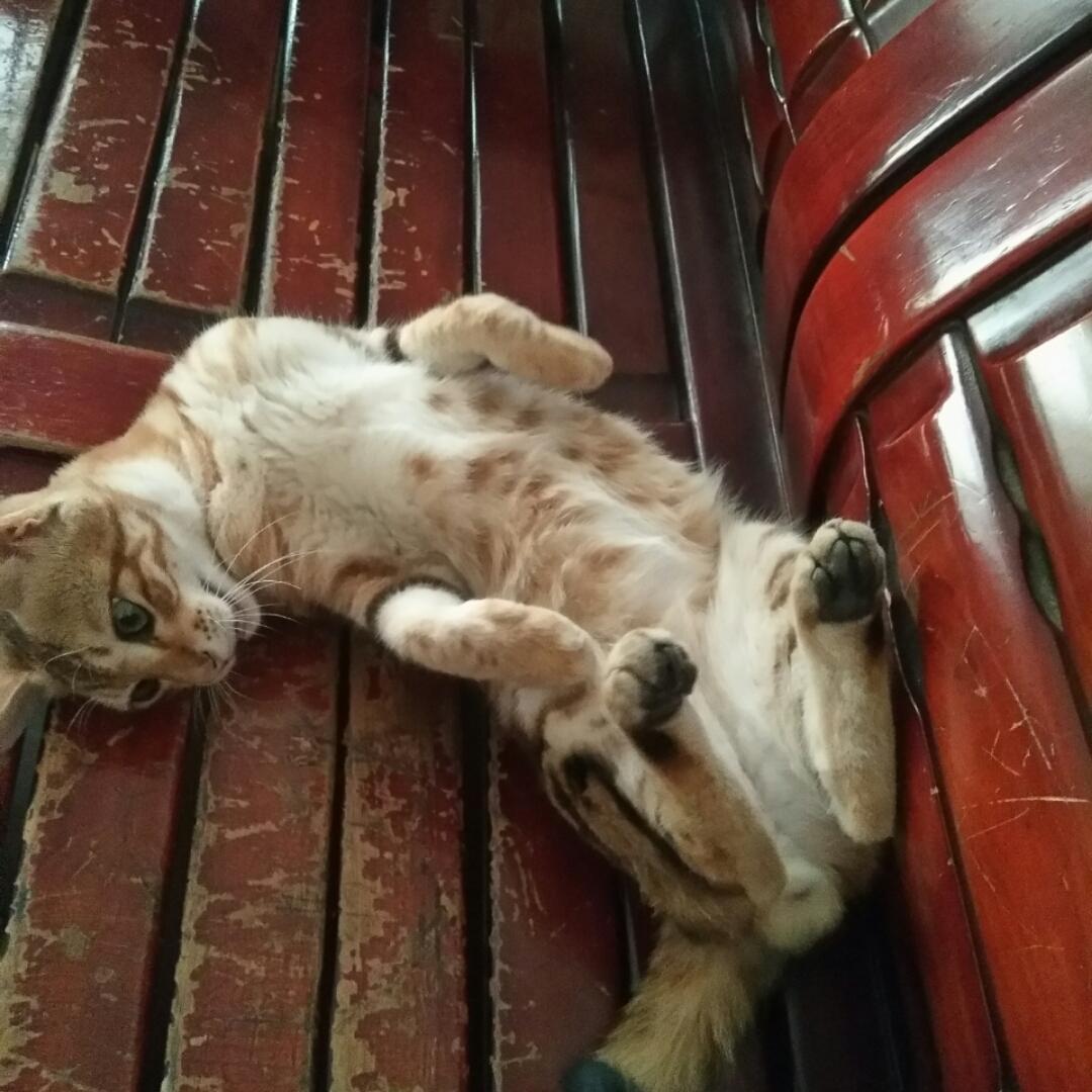 卸不掉的素颜刘小姐