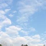 我是美食探险家