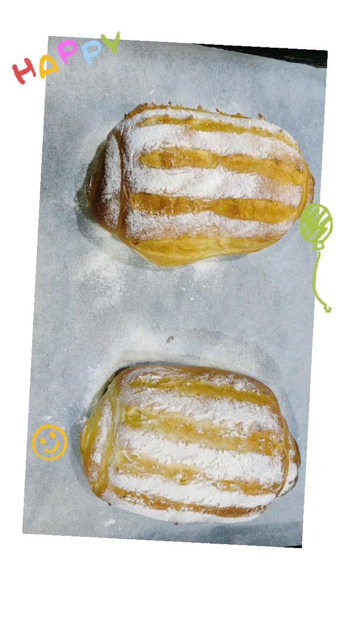 蛋奶哈斯
