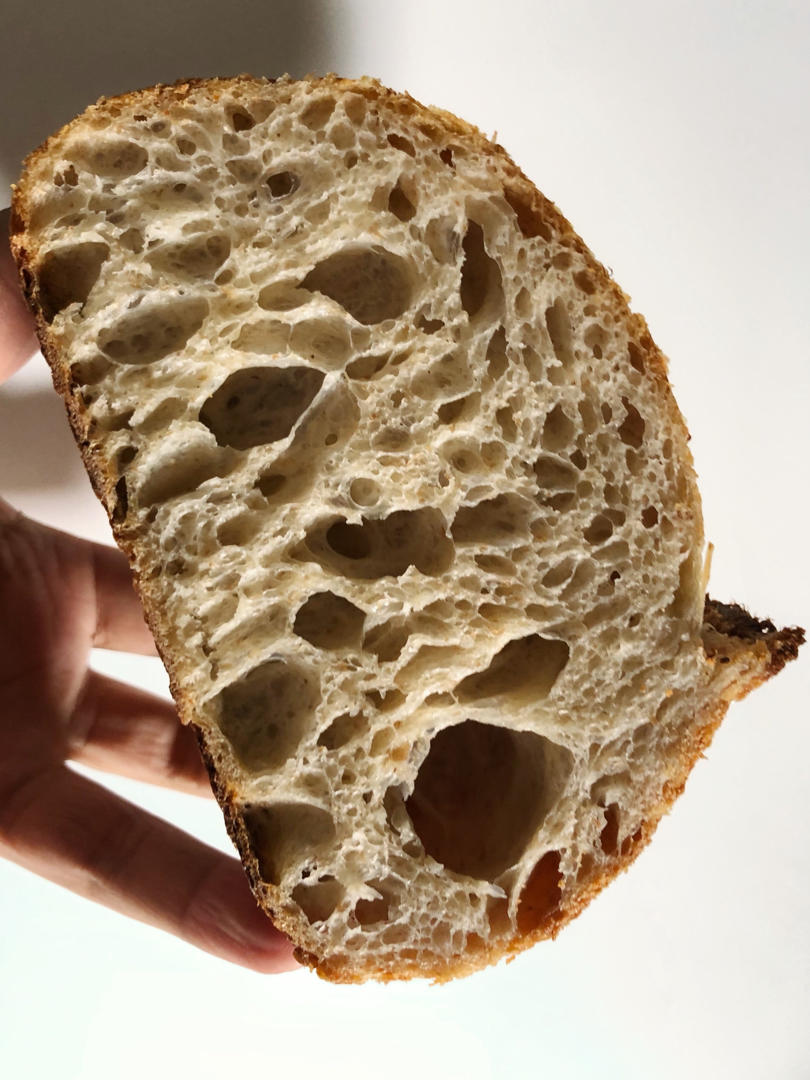 乡村欧包〈法国老面版〉