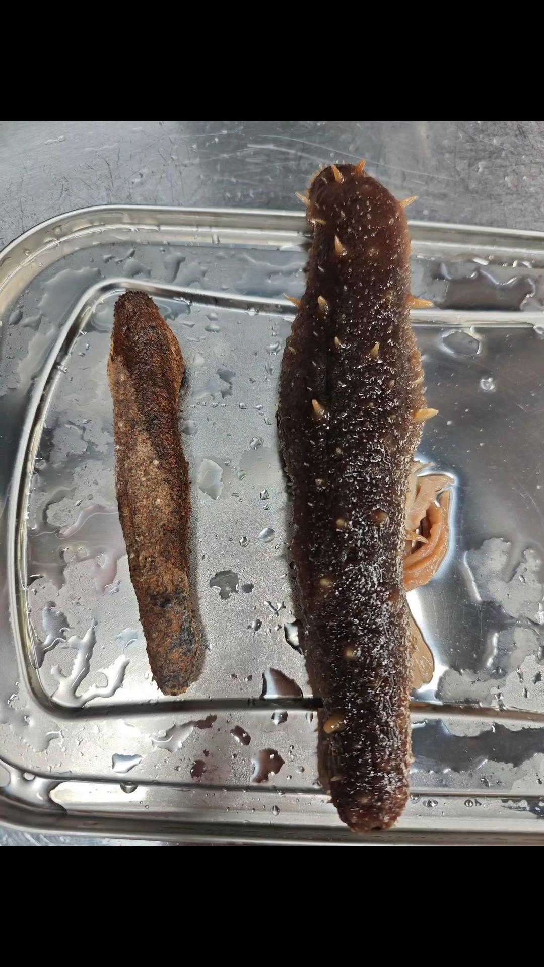 泡阿拉斯加红参