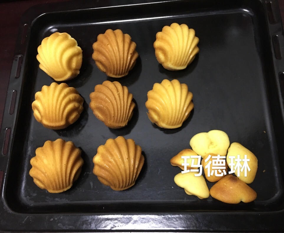 玛德琳（蓝带方）