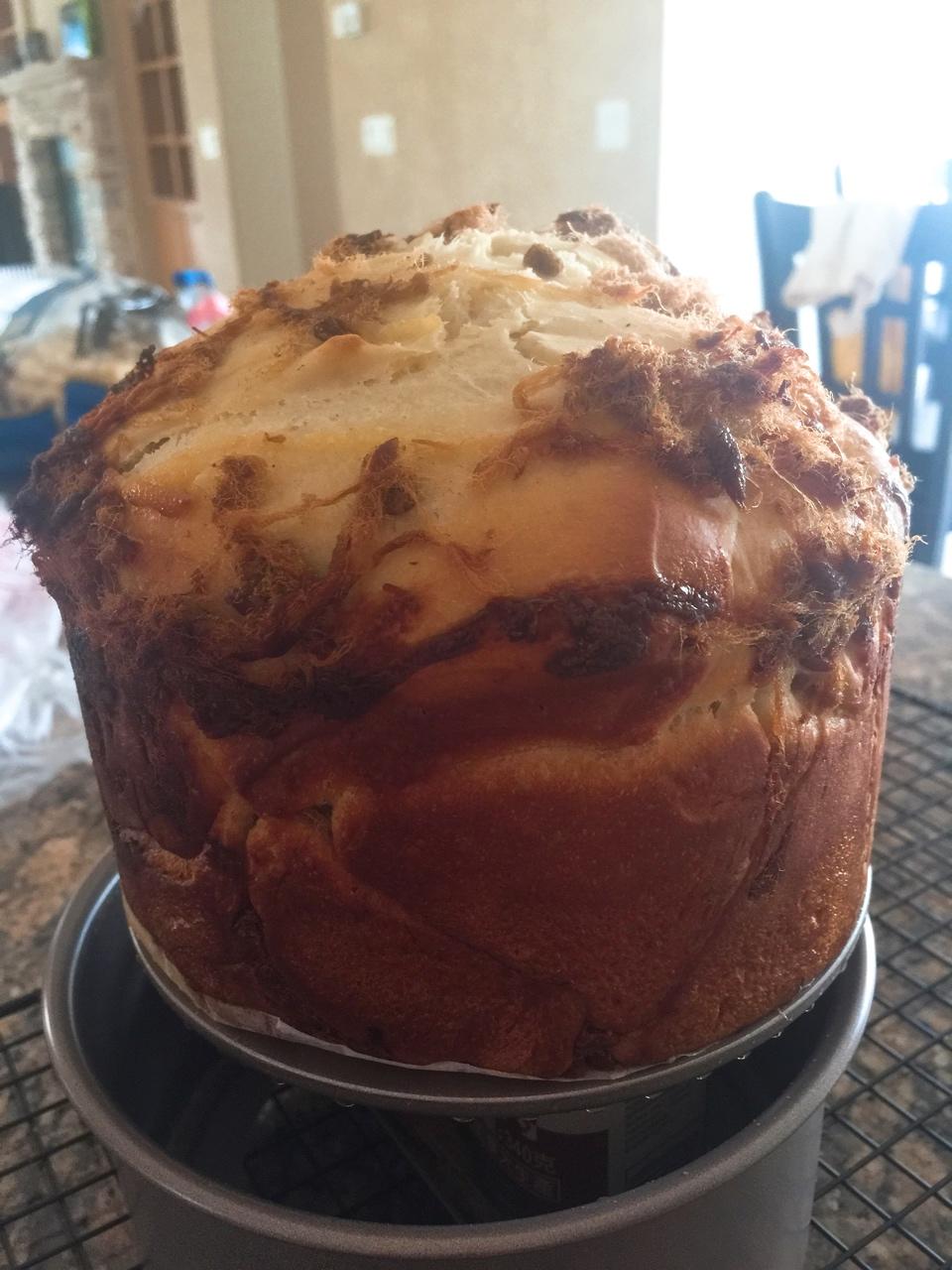 肉松手撕面包—超软会爆浆的面包哟