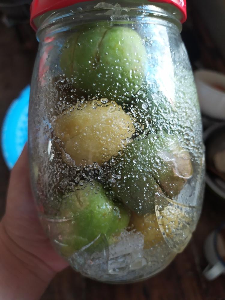 糖渍青杏,糖腌青杏的做法 步骤16