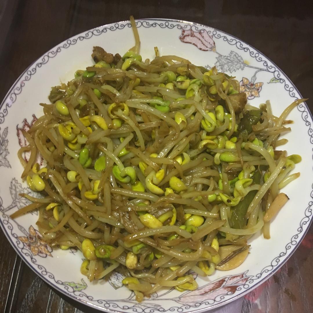 素炒豆芽