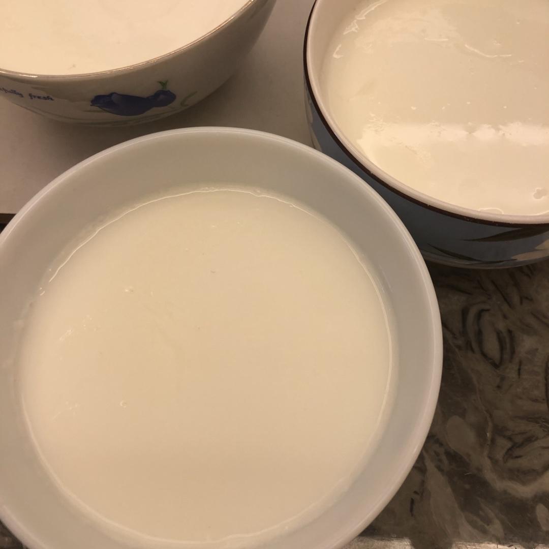 顺德双皮奶