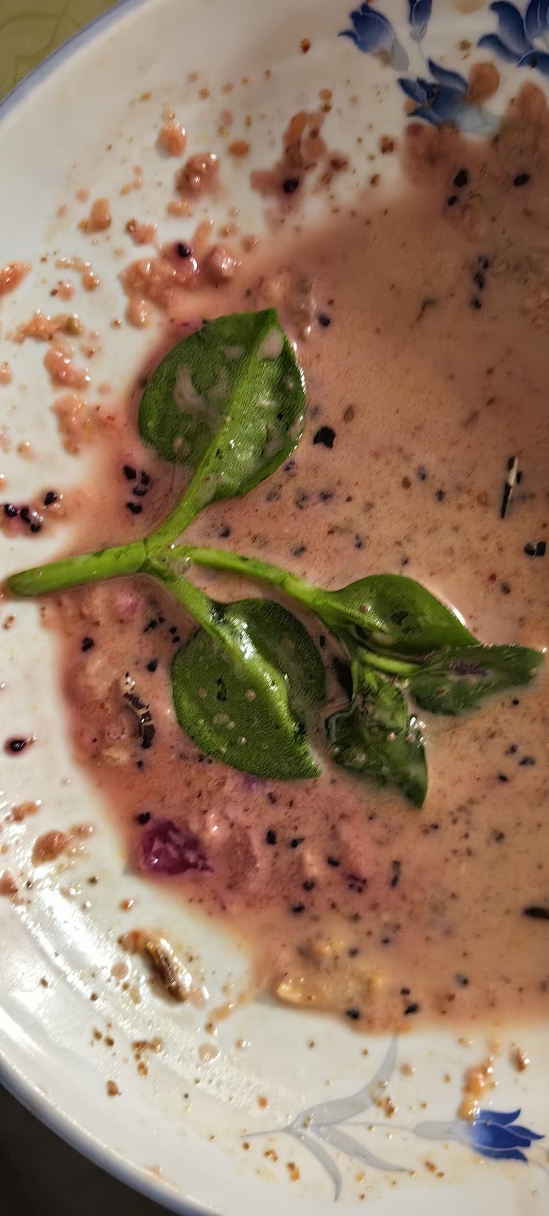 不用油炸超省油的鱼香肉末茄子煲