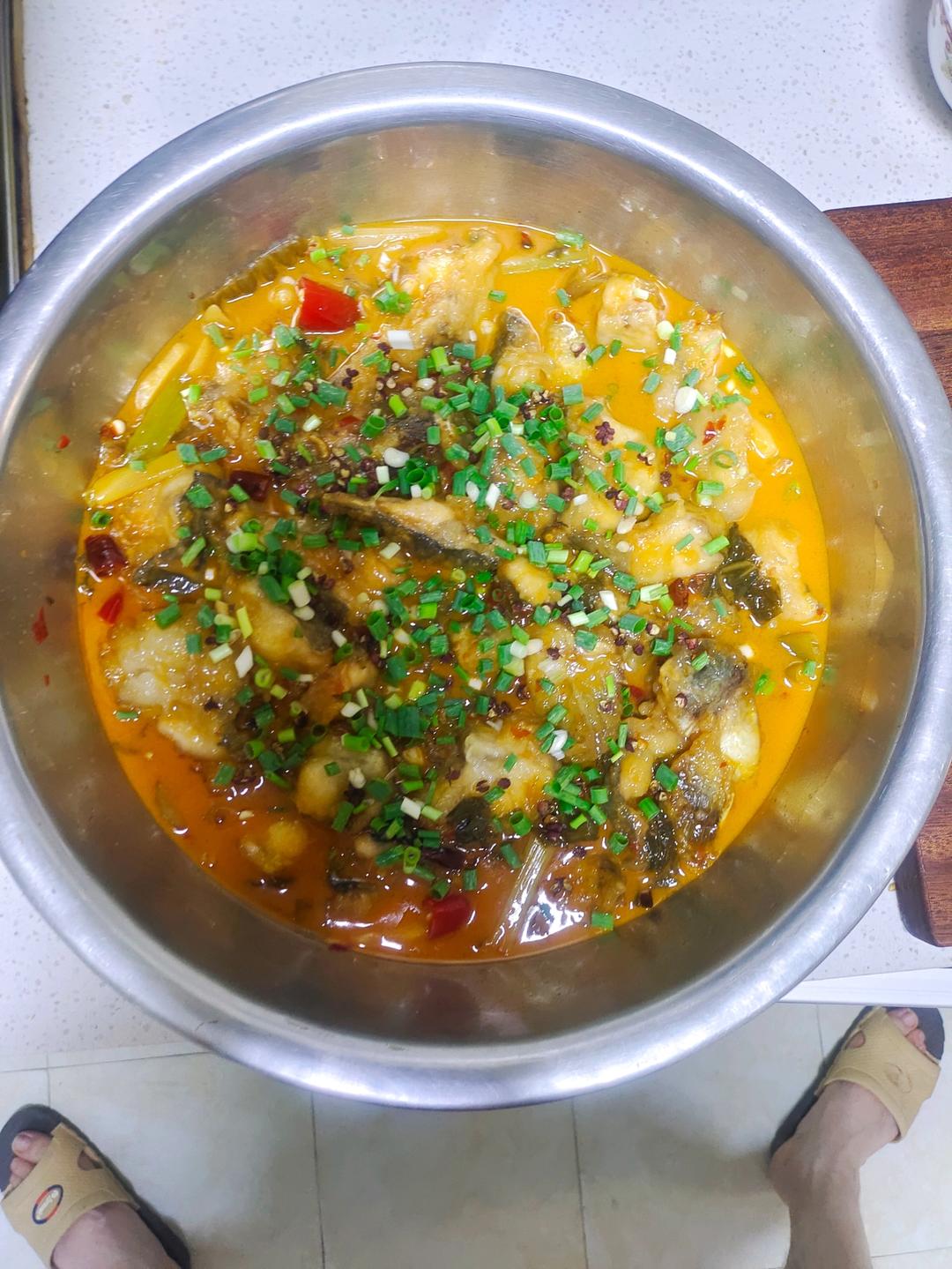 百分百成功的重庆太安鱼（坨坨鱼）
