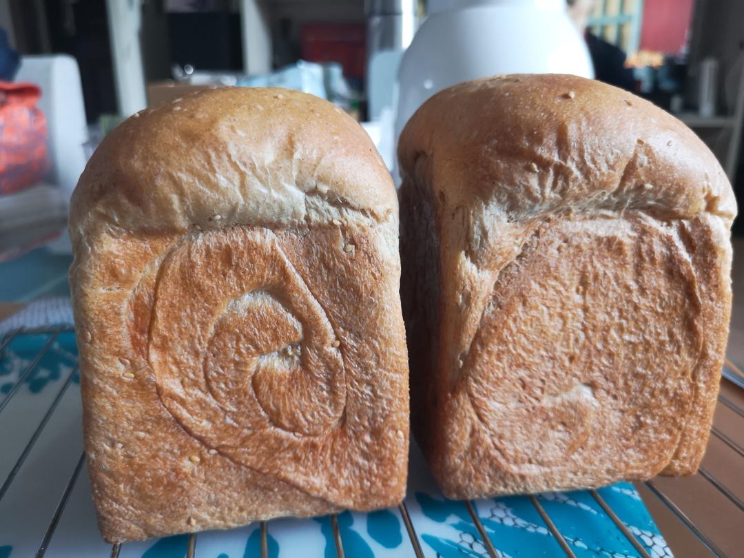 顺势而为 波兰小黑吐司