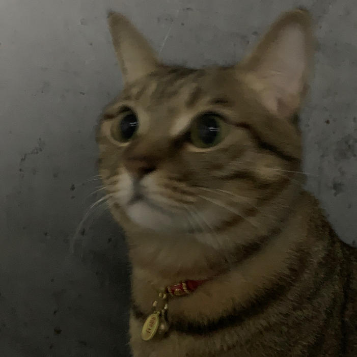 湿纸巾