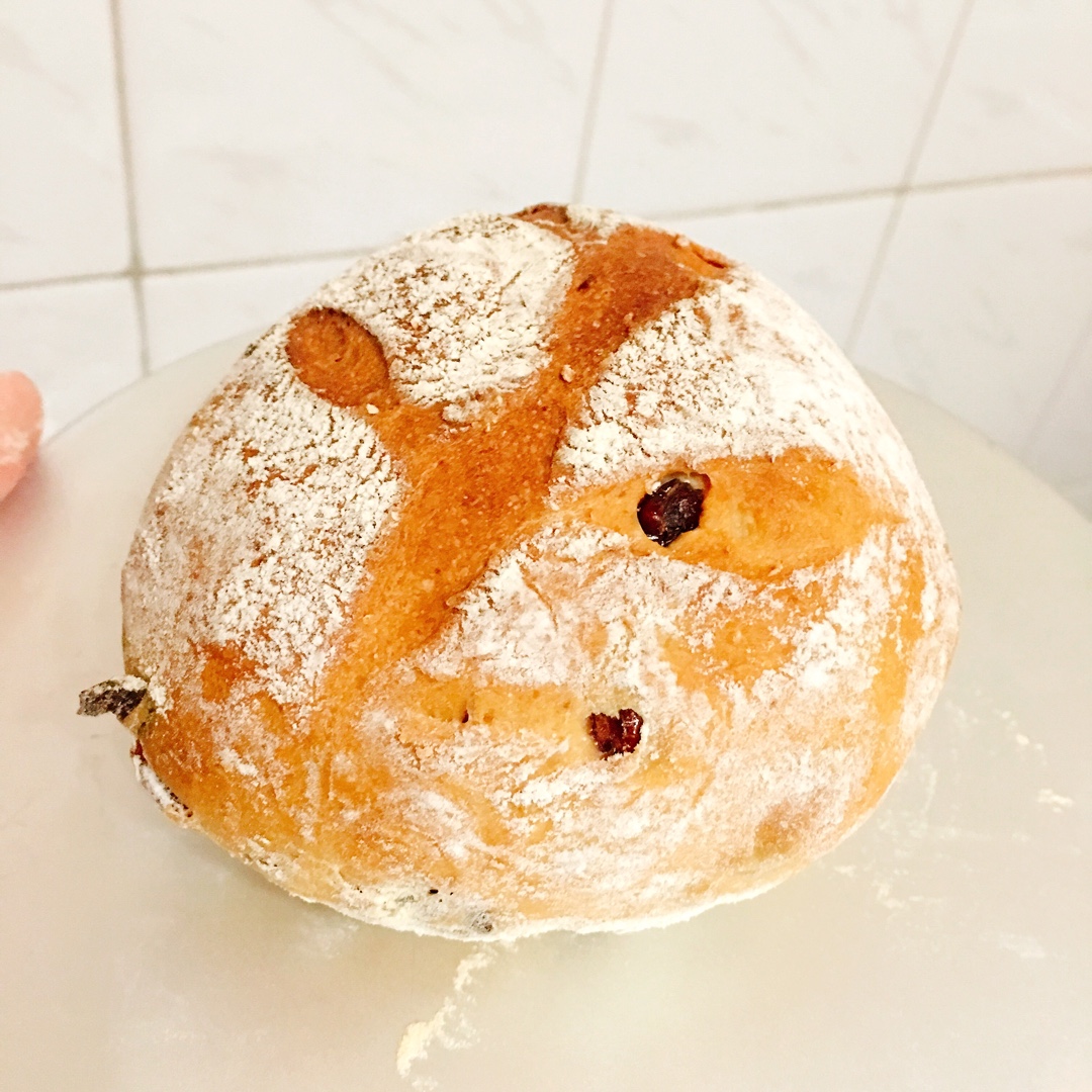 黑麦蔓越莓软欧包