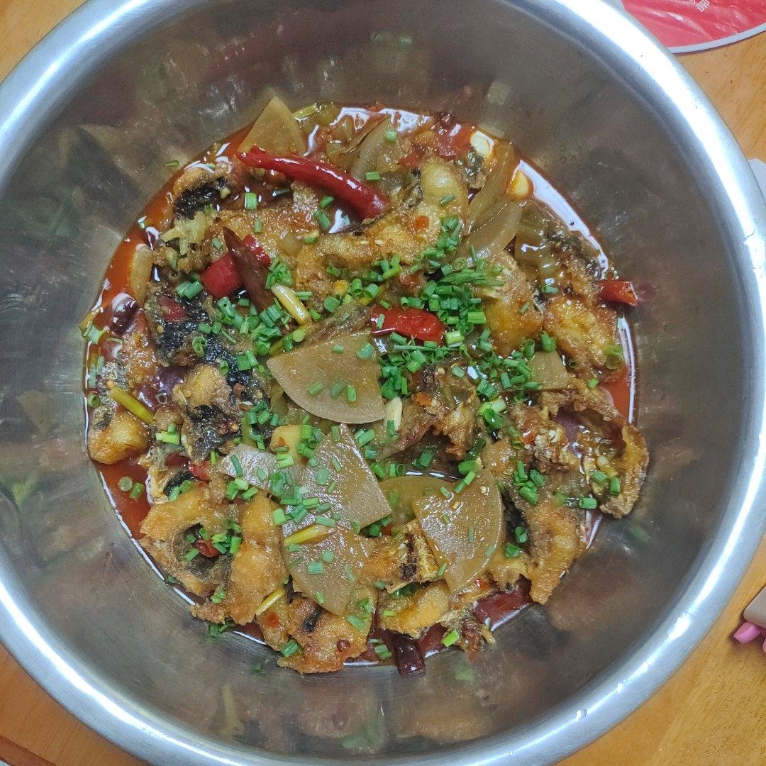 百分百成功的重庆太安鱼（坨坨鱼）