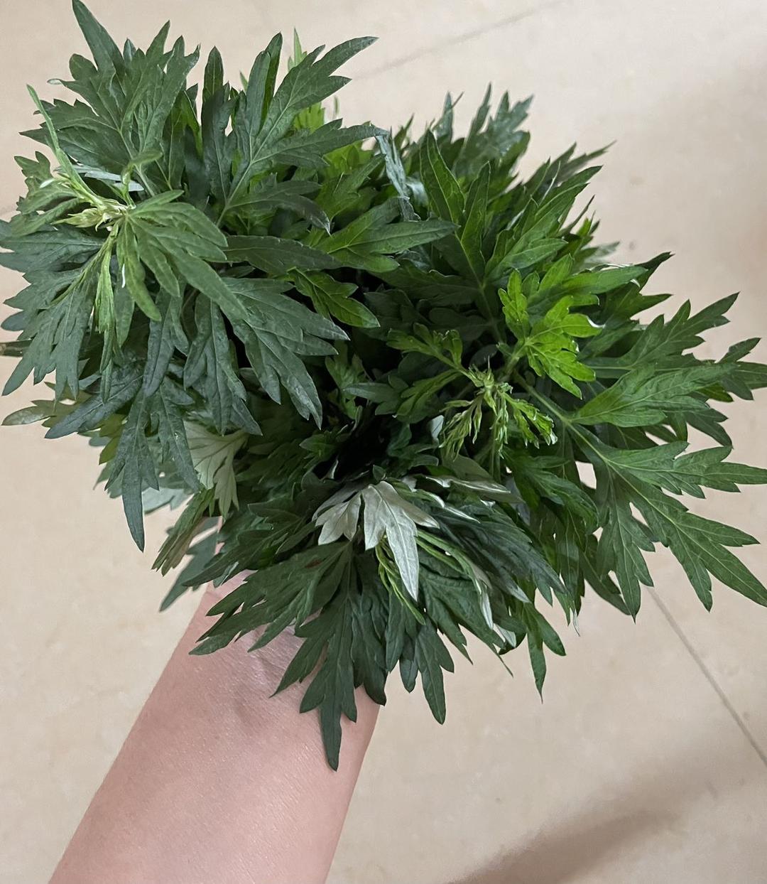 传统浓郁艾草香的艾糍
