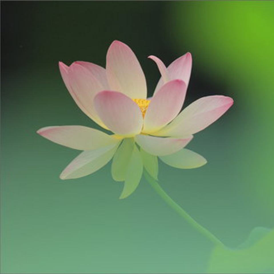 书香门第-2