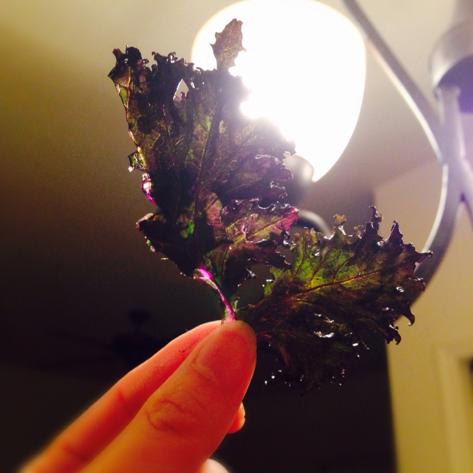 超级零食Kale chips羽衣甘蓝脆片