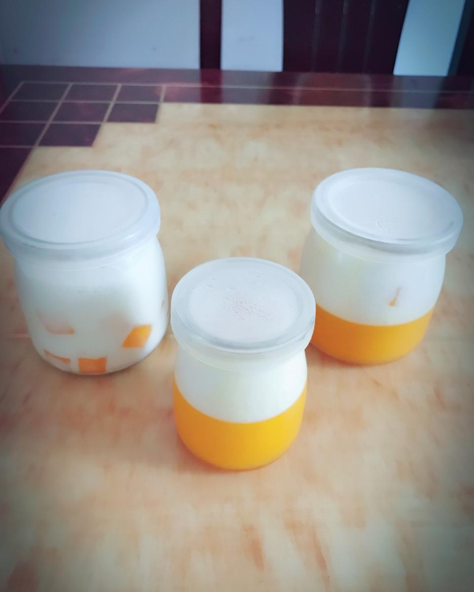 芒果双色布丁