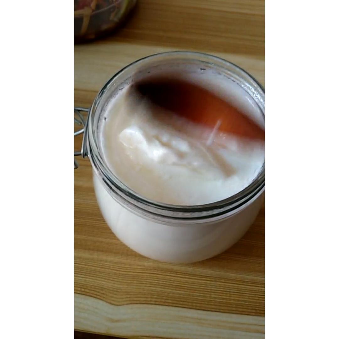 无需酸奶机的自制酸奶