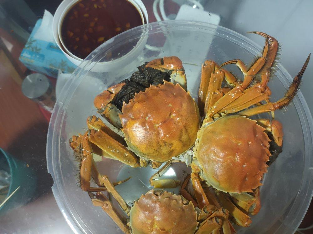 清蒸大闸蟹（秘制蘸酱）