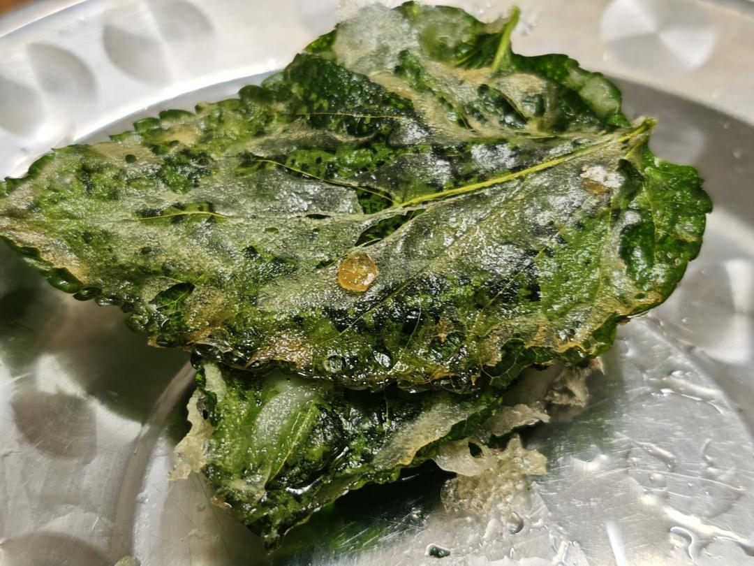 炸桑叶