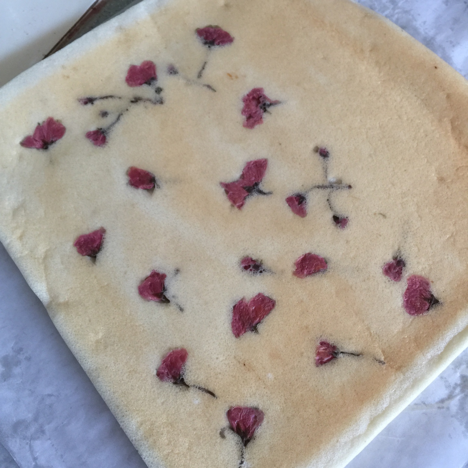 雪白瑞士卷（消耗蛋白的蛋糕卷I）