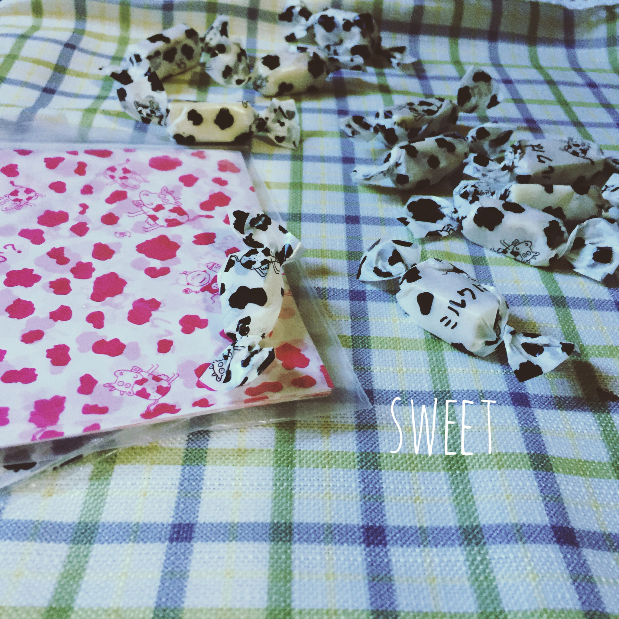 ｡：ﾟ(｡ﾉω＼｡)ﾟ･｡