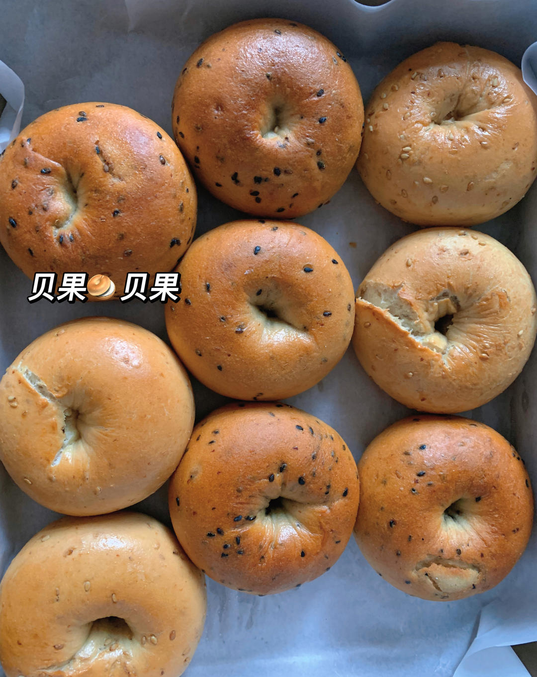 黑芝麻全麦贝果