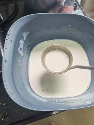 广式椰汁马蹄千层糕的做法 步骤4