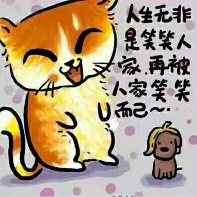 小馋猫-16