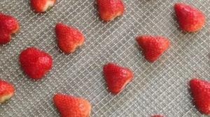 草莓干的做法 步骤4