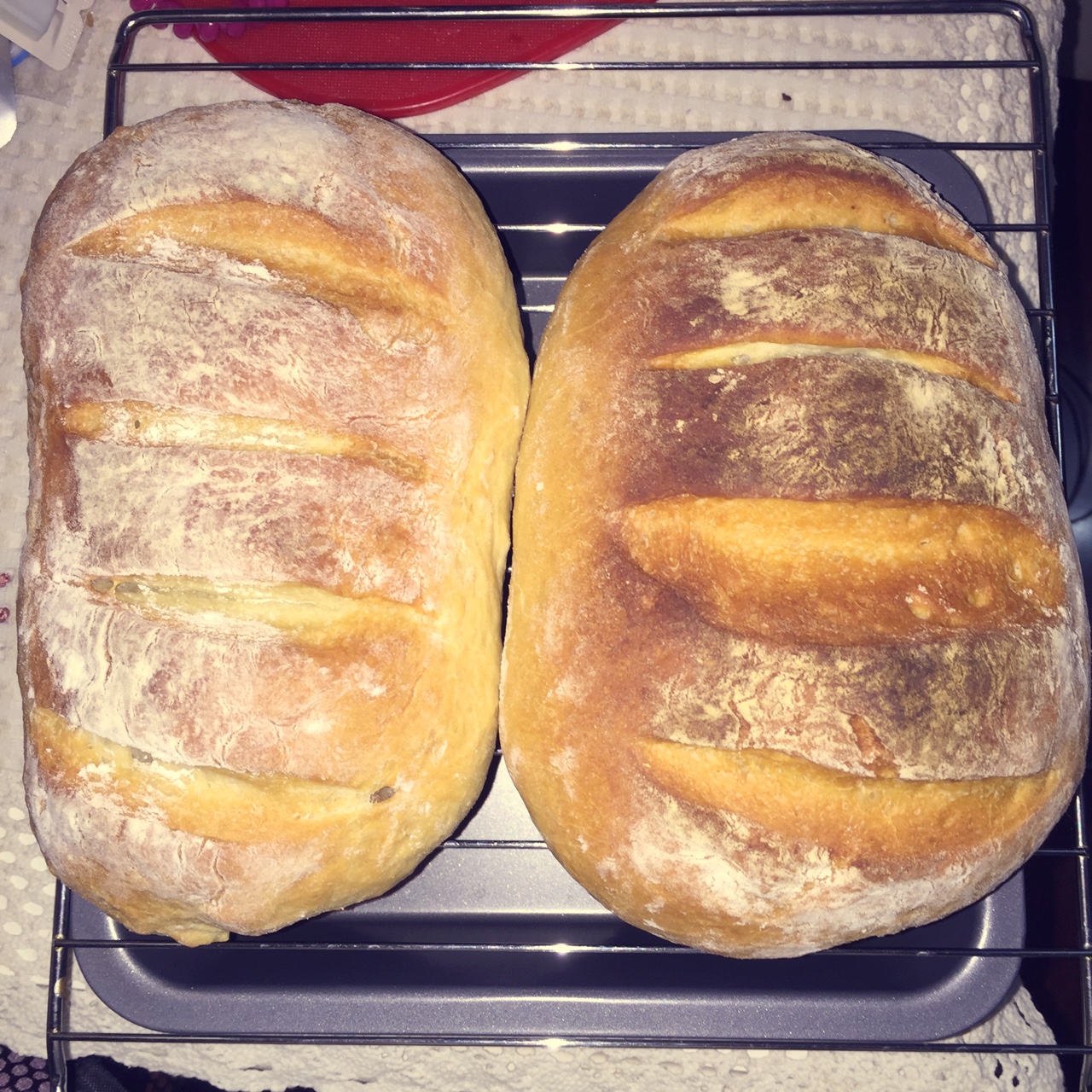 「欧包」经典英式布鲁姆面包 English bloomer