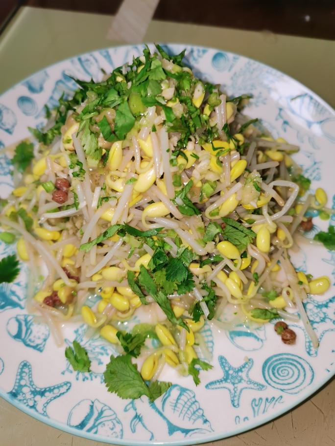 【蒜泥清拌黄豆芽的做法步骤图,怎么做好吃】雪下小镇_下厨房