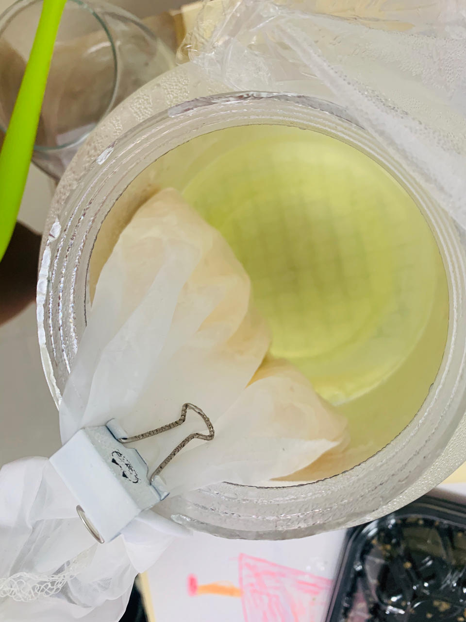 【减脂】自制希腊酸奶