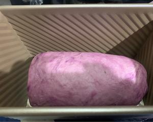 梦幻卷卷面包～温软甜蜜的紫薯芝麻番薯吐司的做法 步骤8