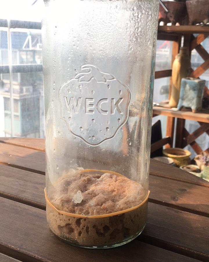 天然酵种宝宝's Life
