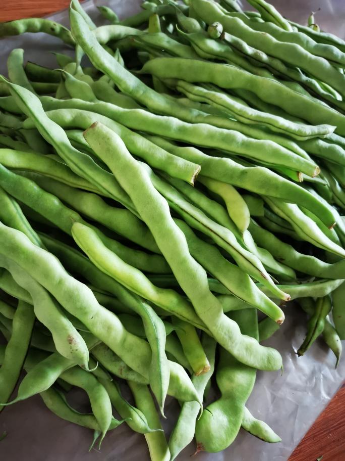 早秋"速冻"架豆王,冬季吃与应季一样好吃的做法 步骤2