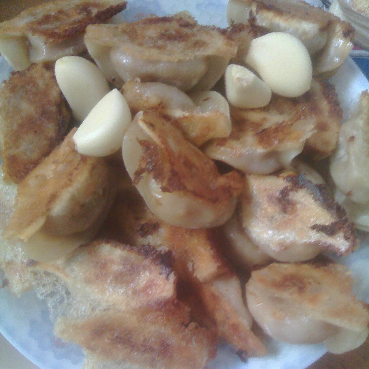 三鲜锅贴 Fried Dumplings