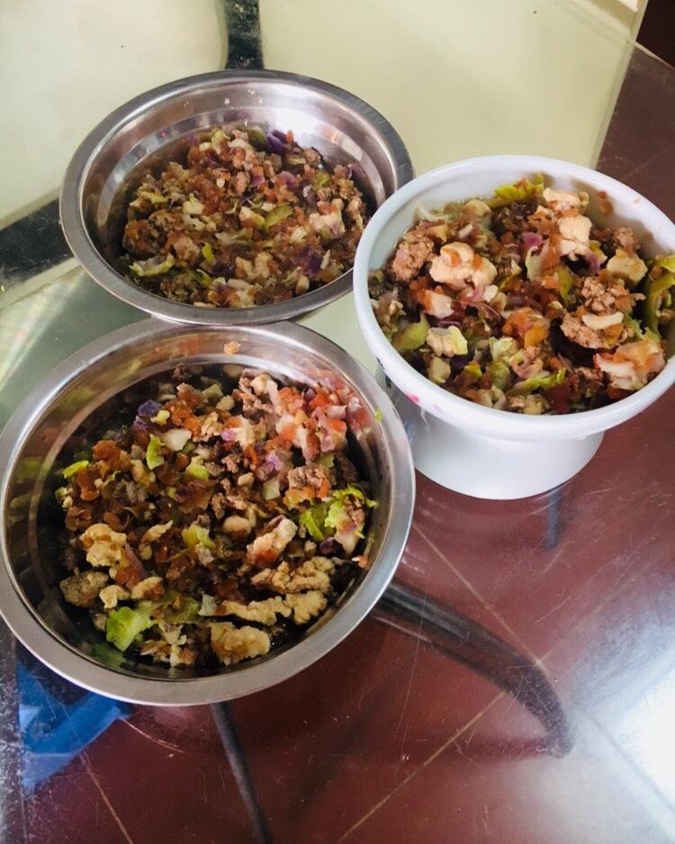 狗狗鲜食——色彩的密码