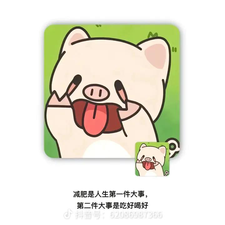 不加任何香料的红烧牛肋排段