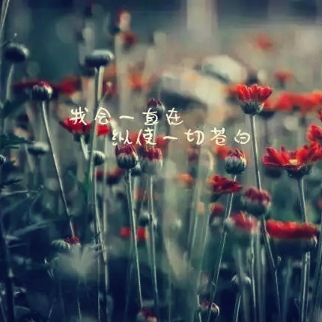 姗姗来迟王者归来