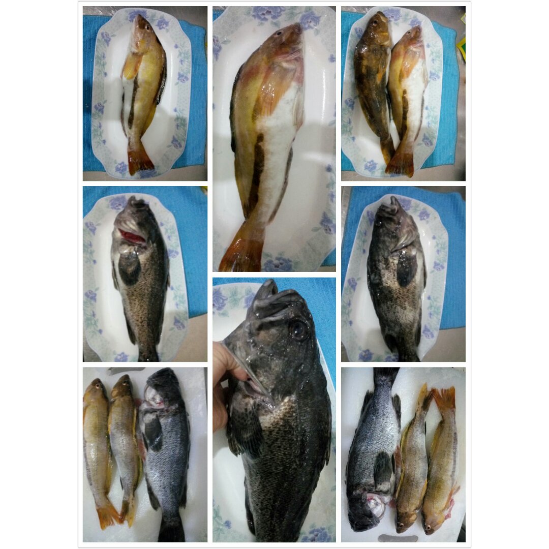 红烧黄鱼—鱼皮不破的小窍门