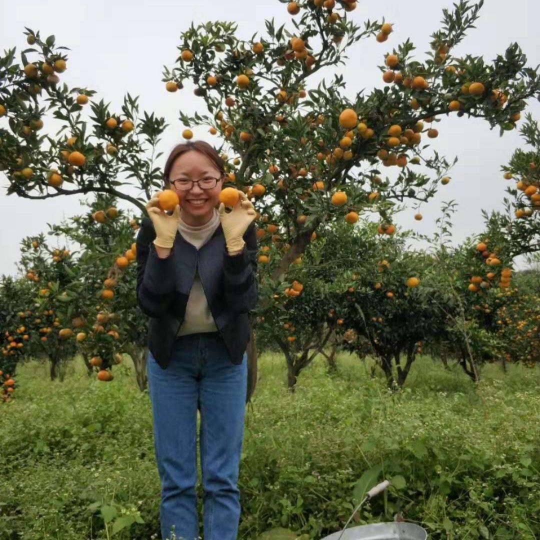 万万红小豆