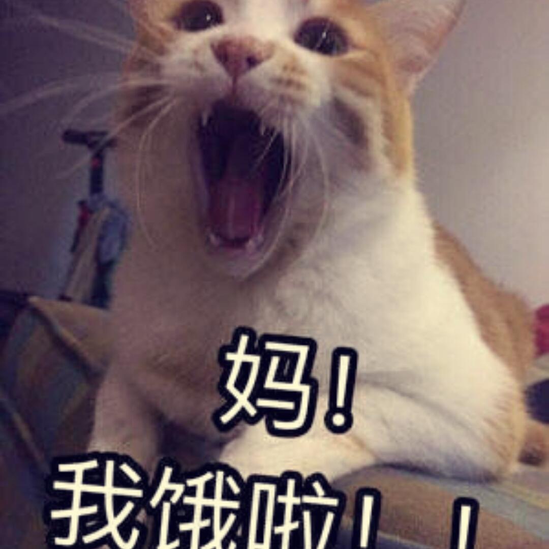 单毛毛