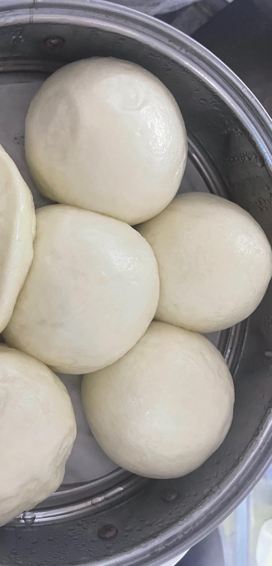 烫面馒头（一次发酵，个个水光肌）