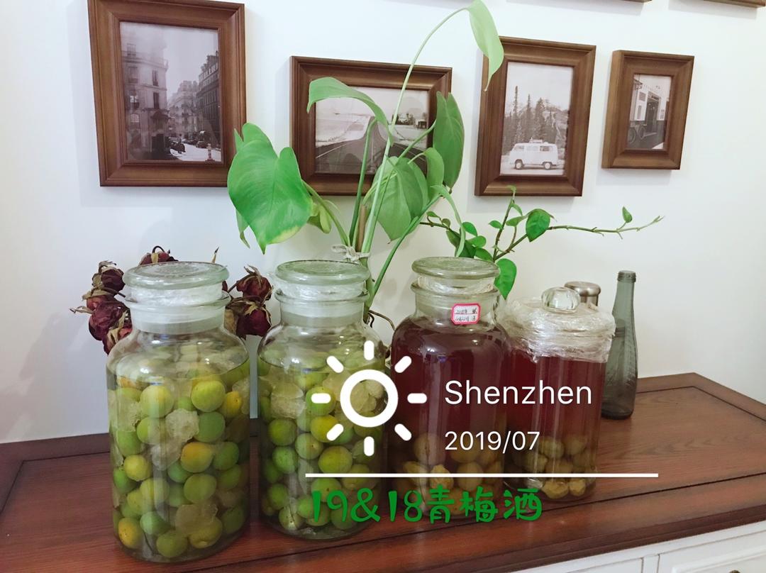 【青梅酒】梅子的沉醉时光（已填坑）
