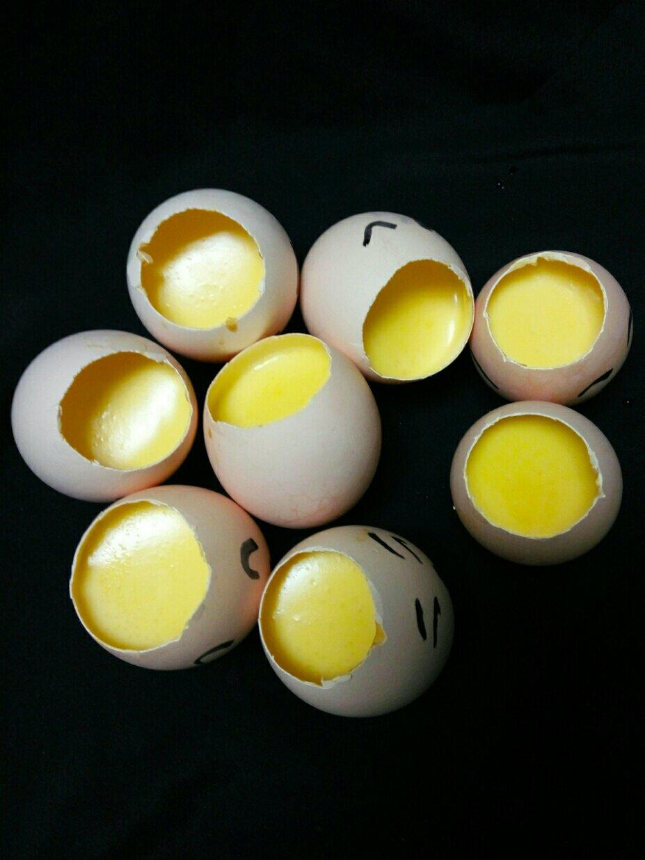 手机用户8069_5ckd做的德普烤箱食谱——蛋壳布丁